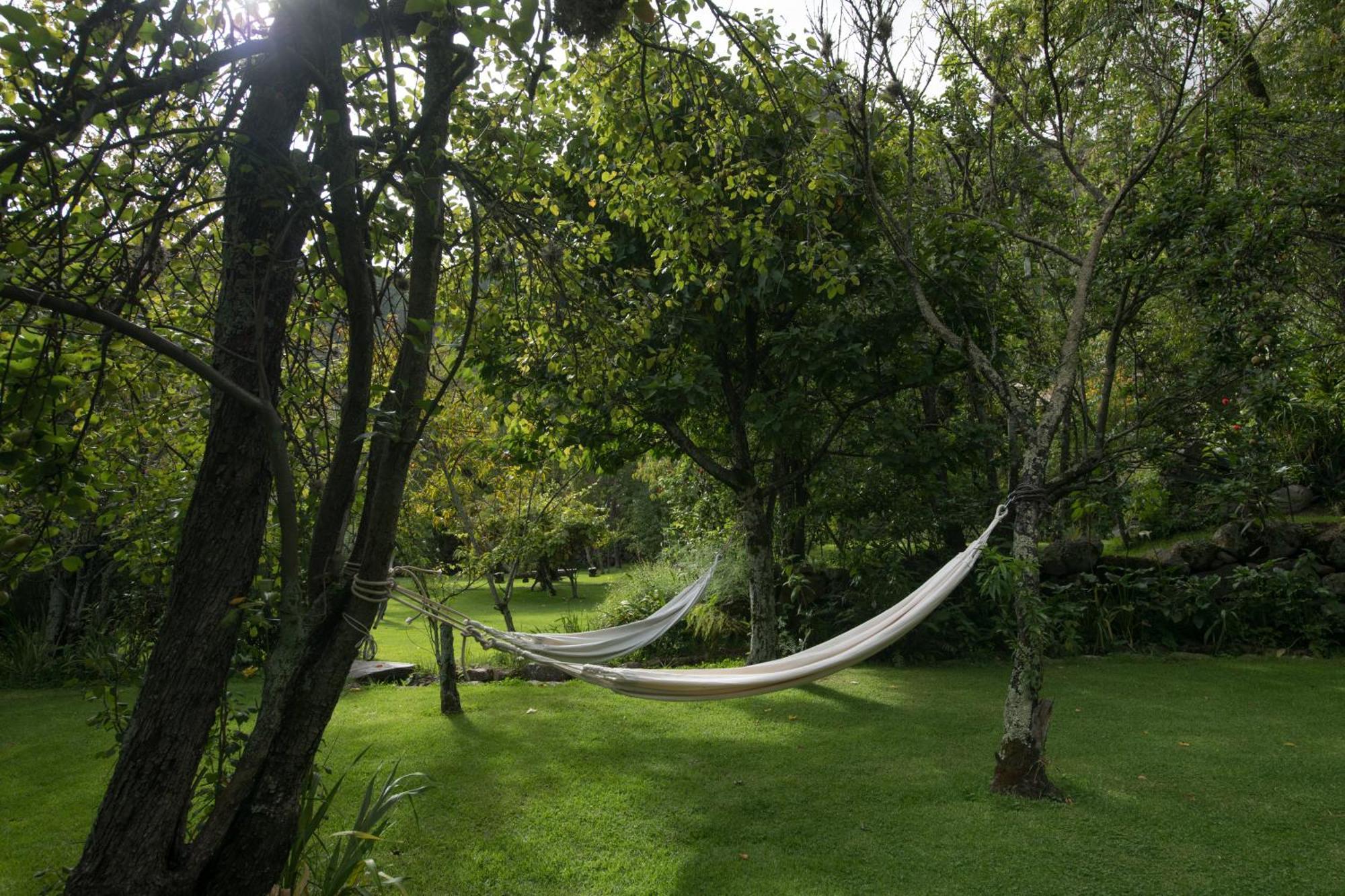 Andenia Boutique Hotel, Sacred Valley Urubamba Exteriér fotografie