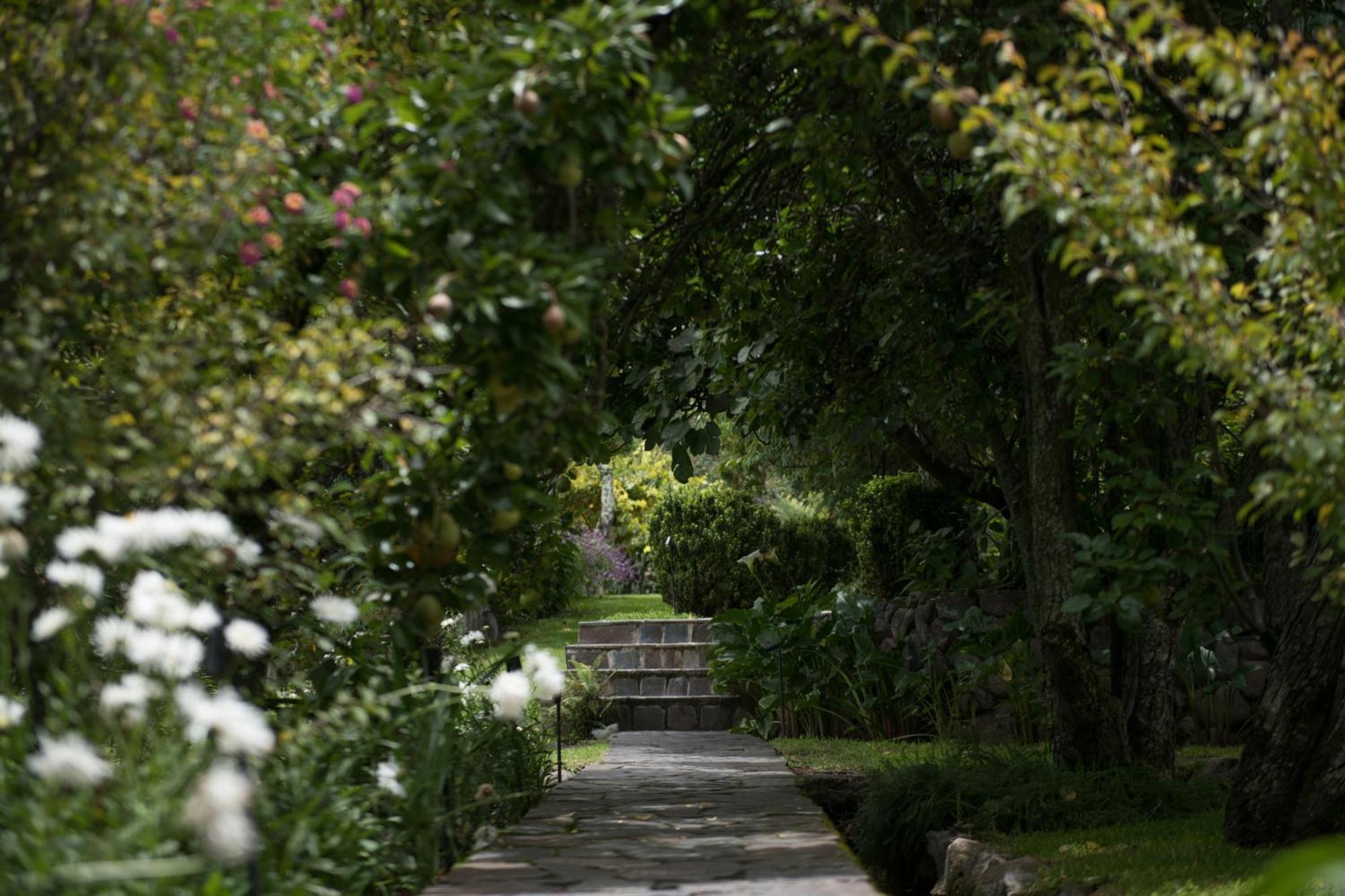 Andenia Boutique Hotel, Sacred Valley Urubamba Exteriér fotografie