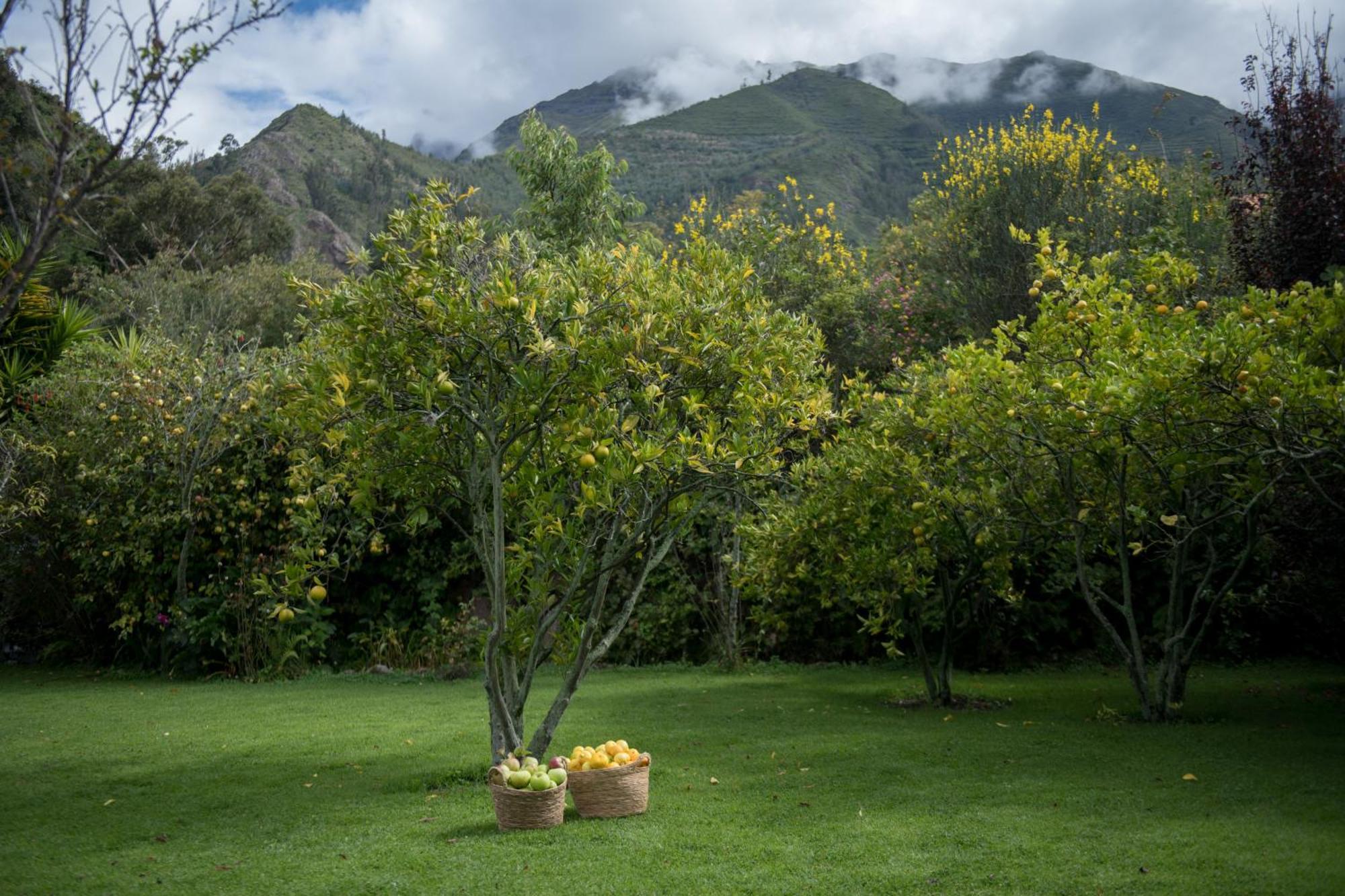 Andenia Boutique Hotel, Sacred Valley Urubamba Exteriér fotografie